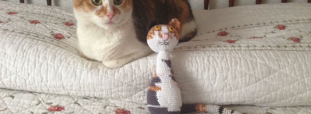 Tu mascota con su amigurumi