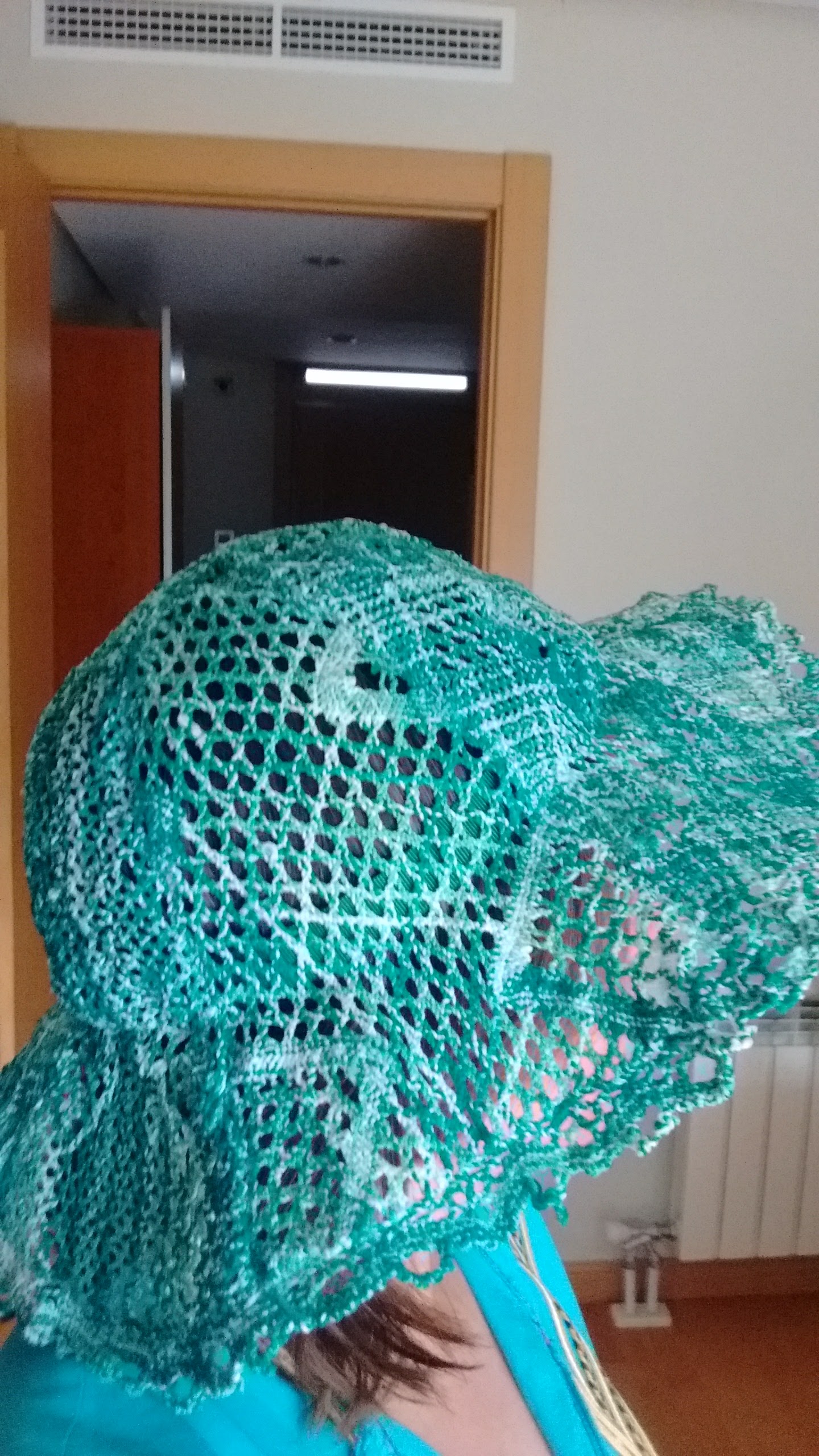 IMG_20171001_115523154