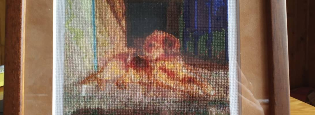 Mi mascota, Terry, en punto de cruz